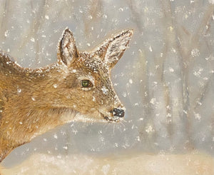 Deery (Detailed picture)